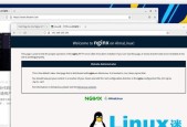 使用LinuxWeb服务器搭建教程（从零开始）